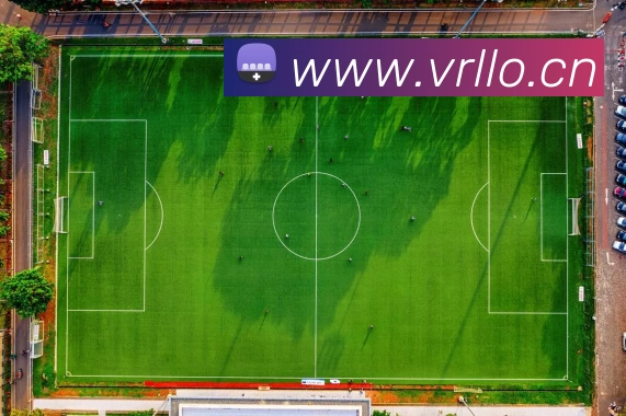 App Interface Preview